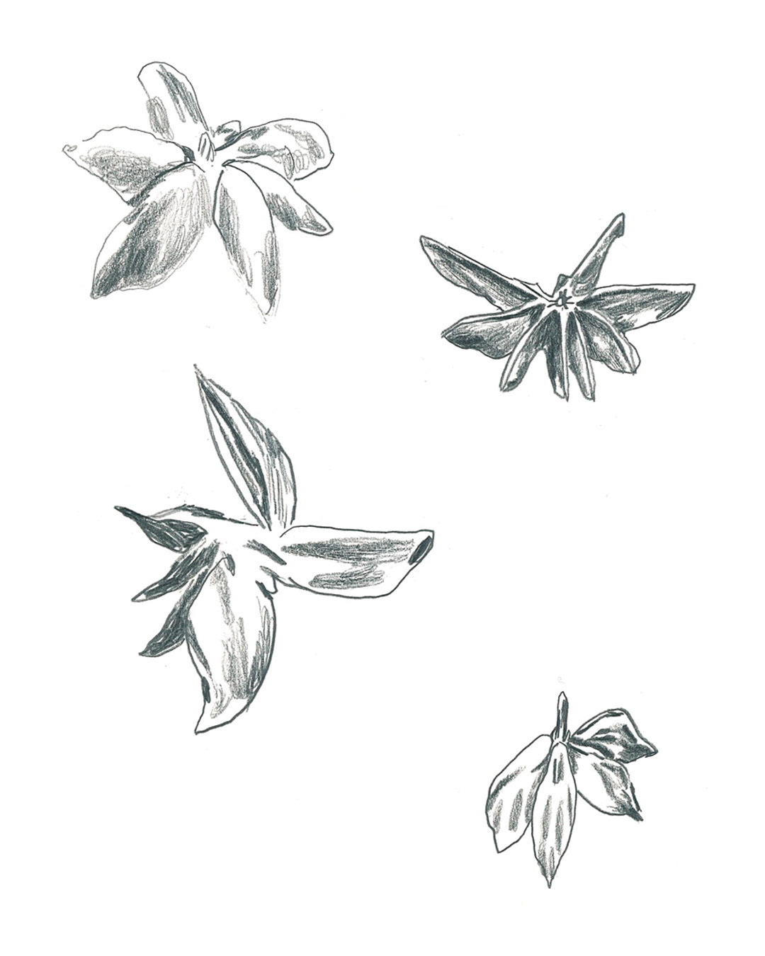 Star anise, The French House, 2012-2015