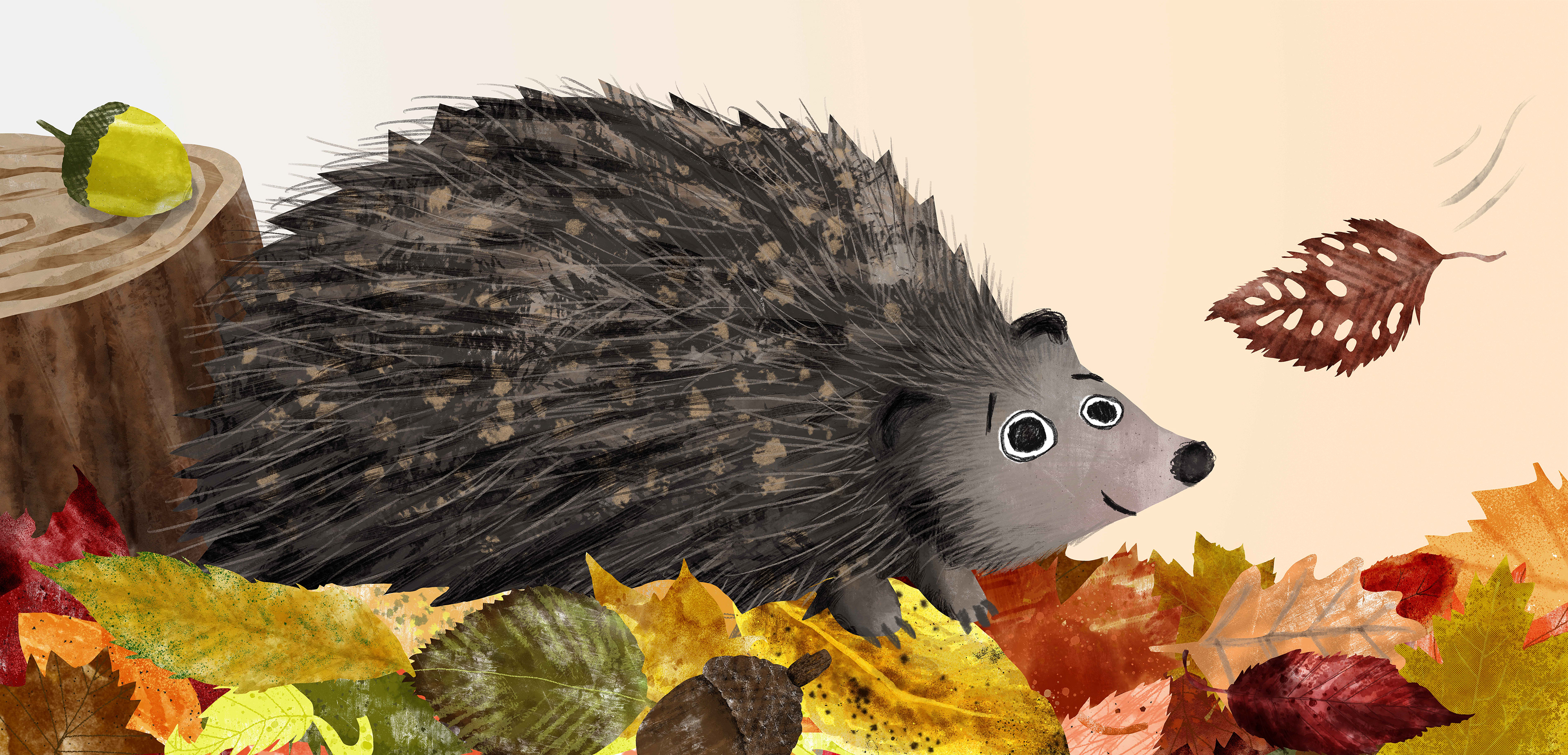 Autumn Hedgehog, 2025