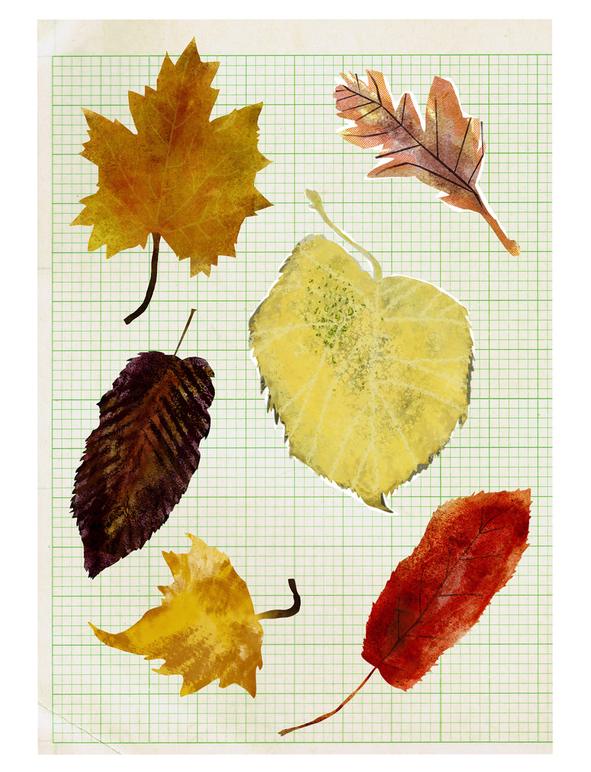 Take a leaf out of my sketchbook, 2025