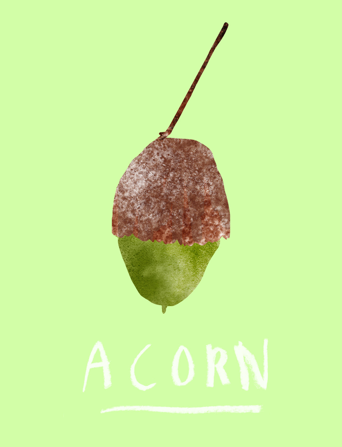 Acorn, 2025