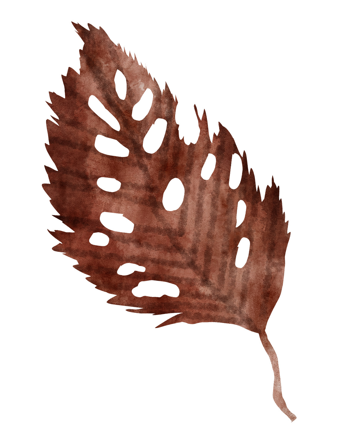 Autumn Leaf, 2025