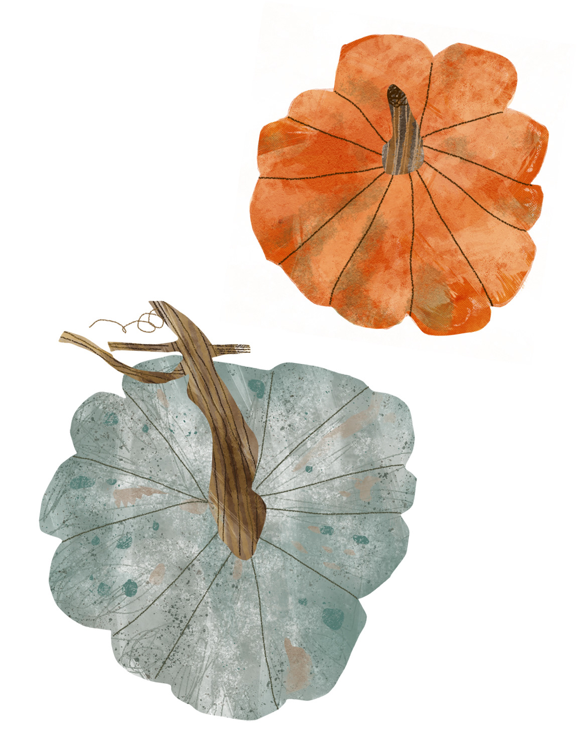 Autumn pumpkins, 2025