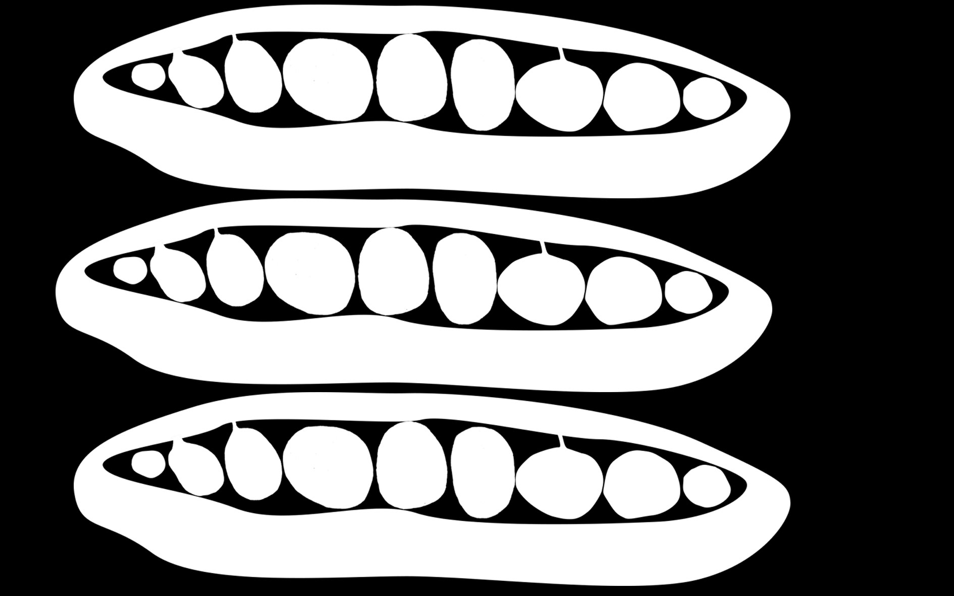 The Conran Shop food department murals, 2016