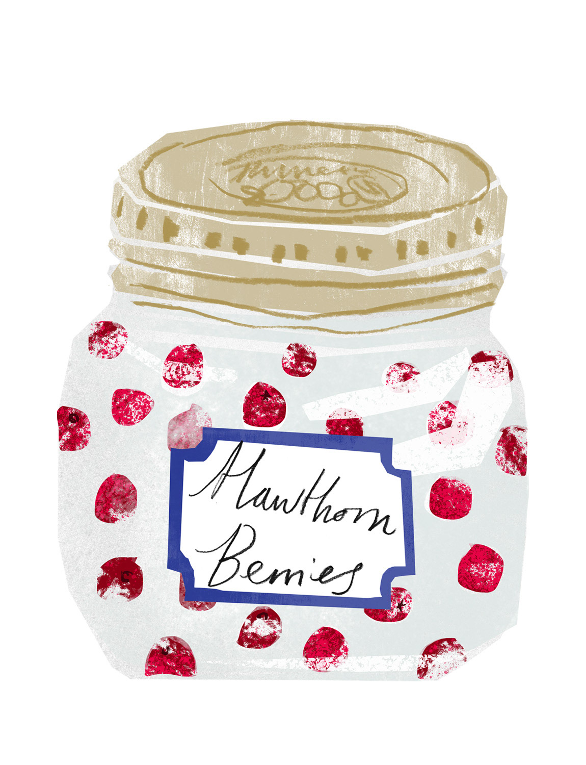 Foraged hawthorn berries, 2025