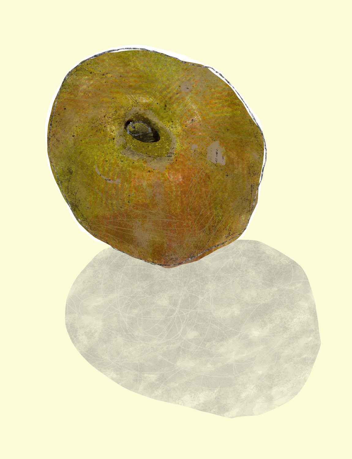 Egremont russet apple, 2025