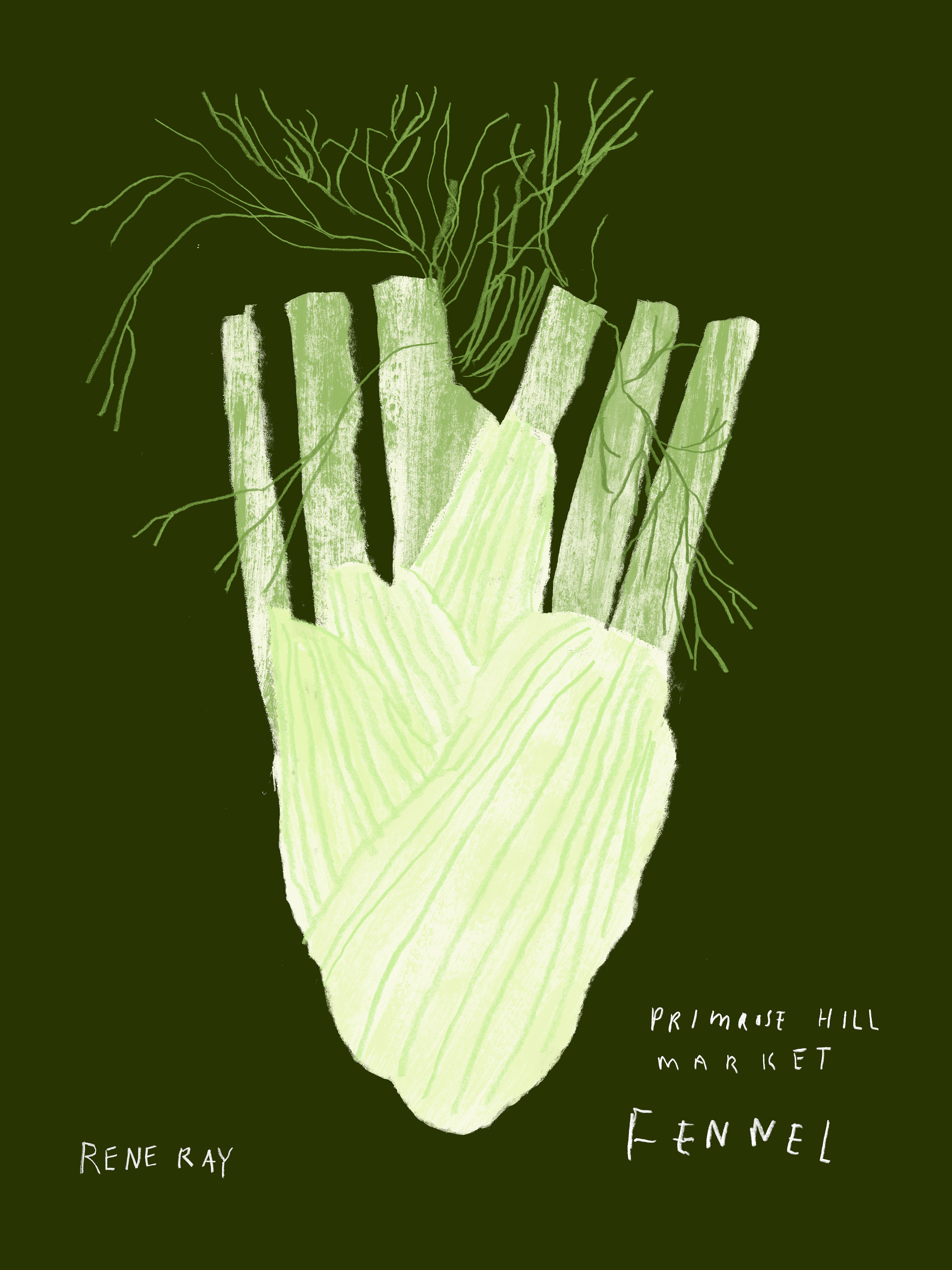 Fennel from Primrose Hill Food Market, 2026