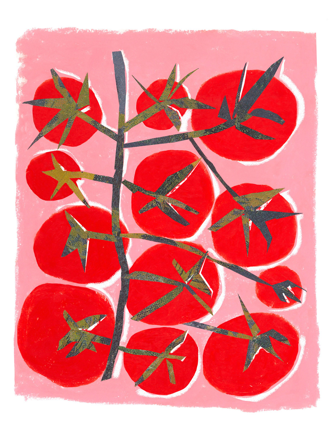 Tomatoes in July, 2025