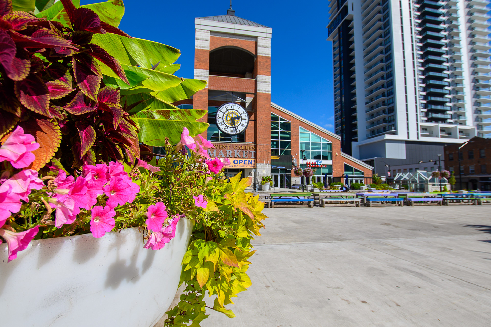 Covent Garden Market, London Ontario