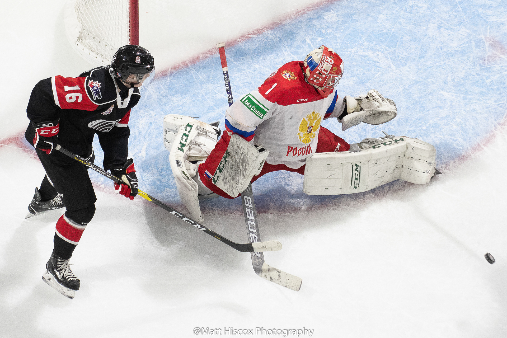 Allan McShane and Amir Miftakhov