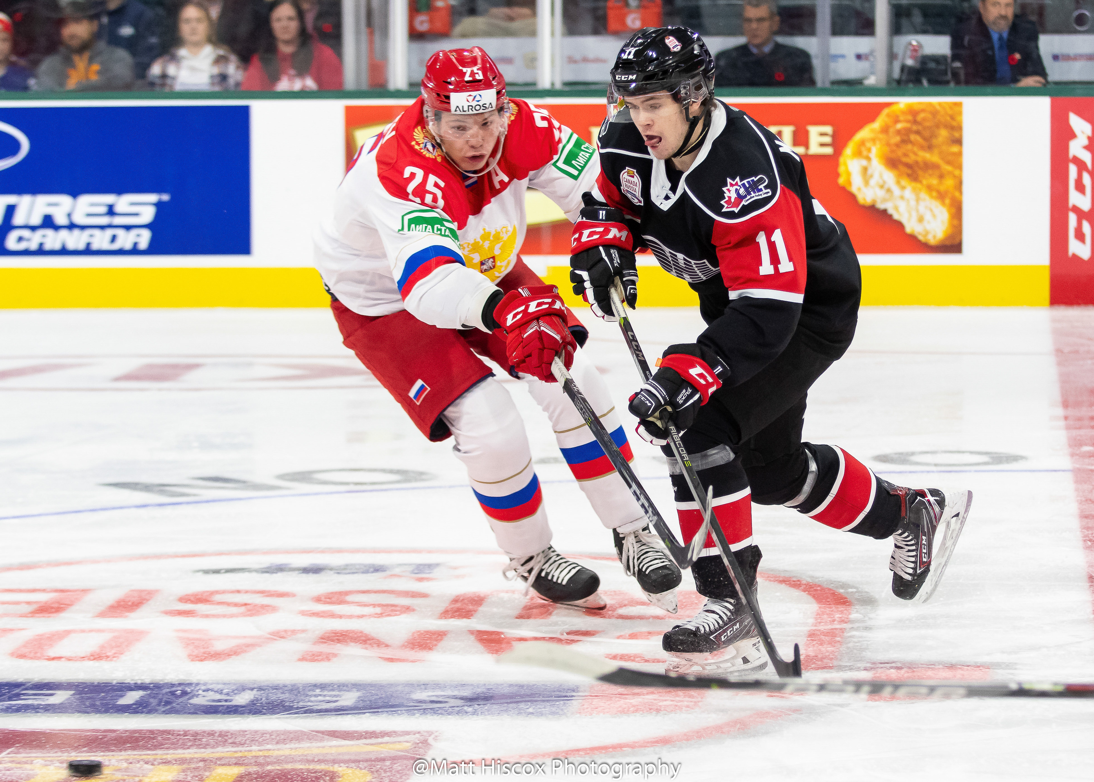 Mikhail Gordeyev, Connor McMichael