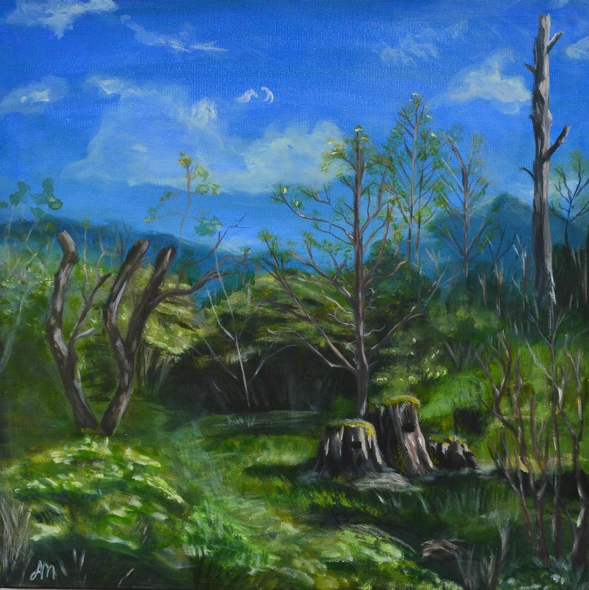 "Walk in the Woods", 20"x20", acrylic on Canvas