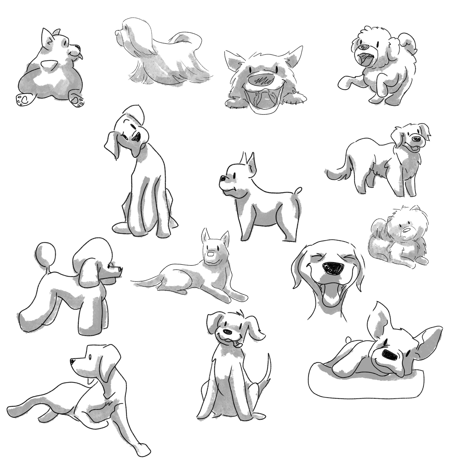 dog study