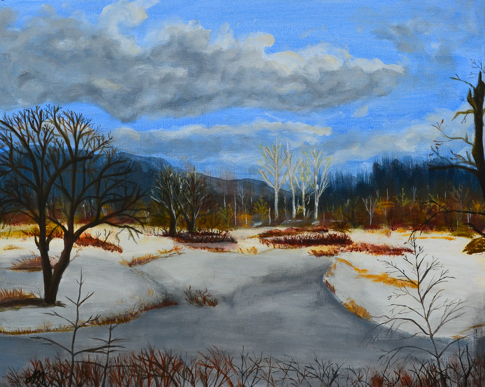 "Snowy River", 16"x20", acrylic on Canvas