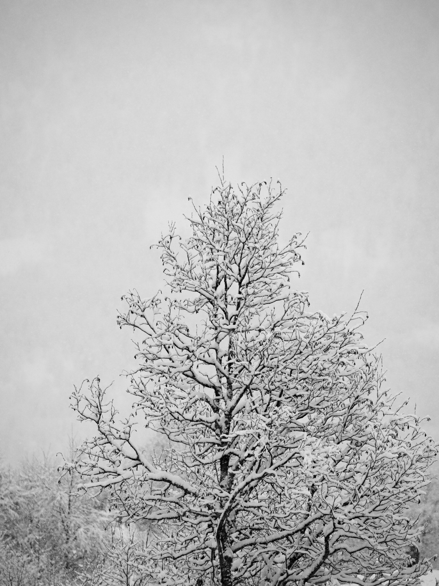 Fotograf Bohne-Kjersem
