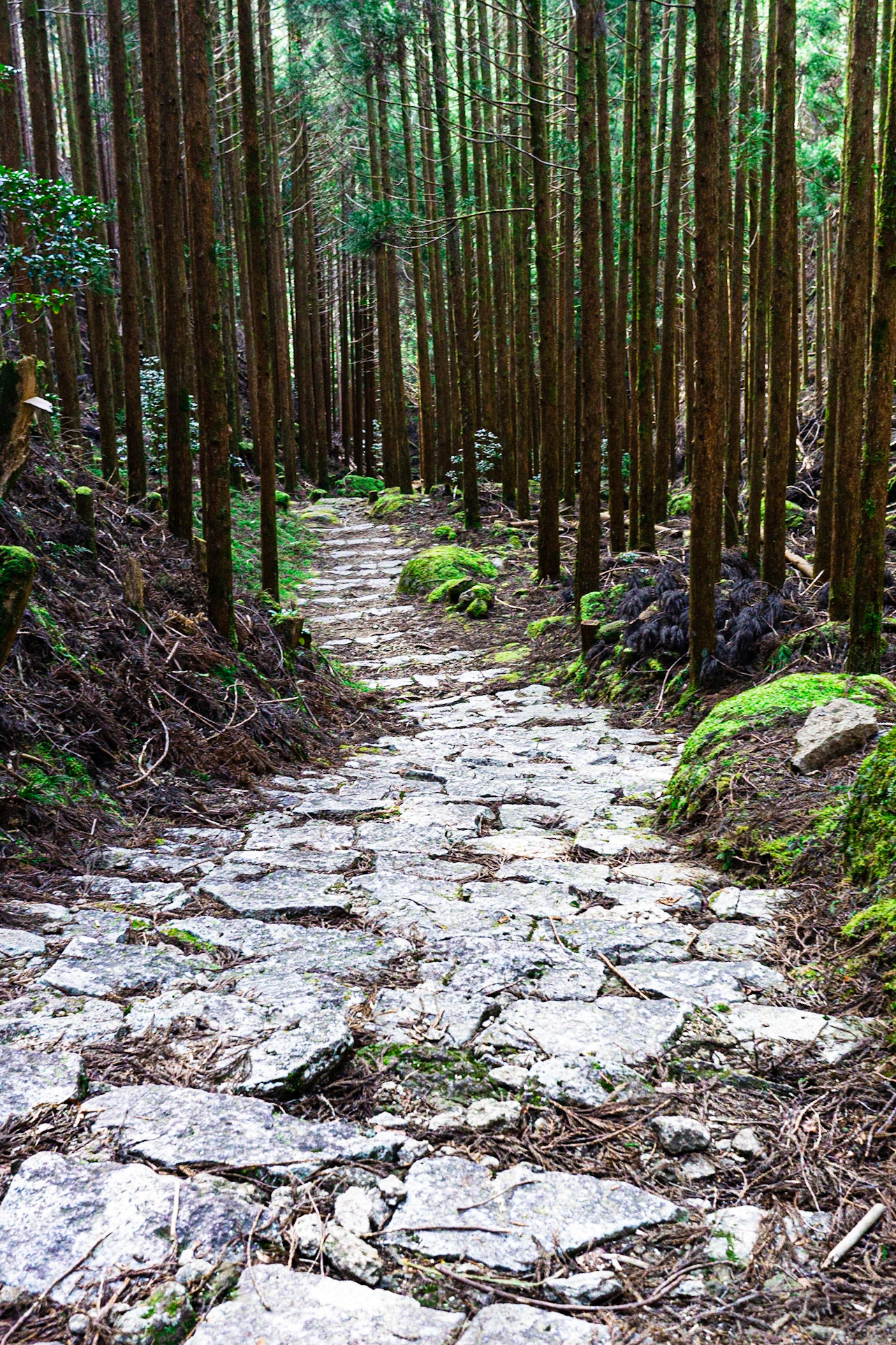 Kumano Kodo, Japan