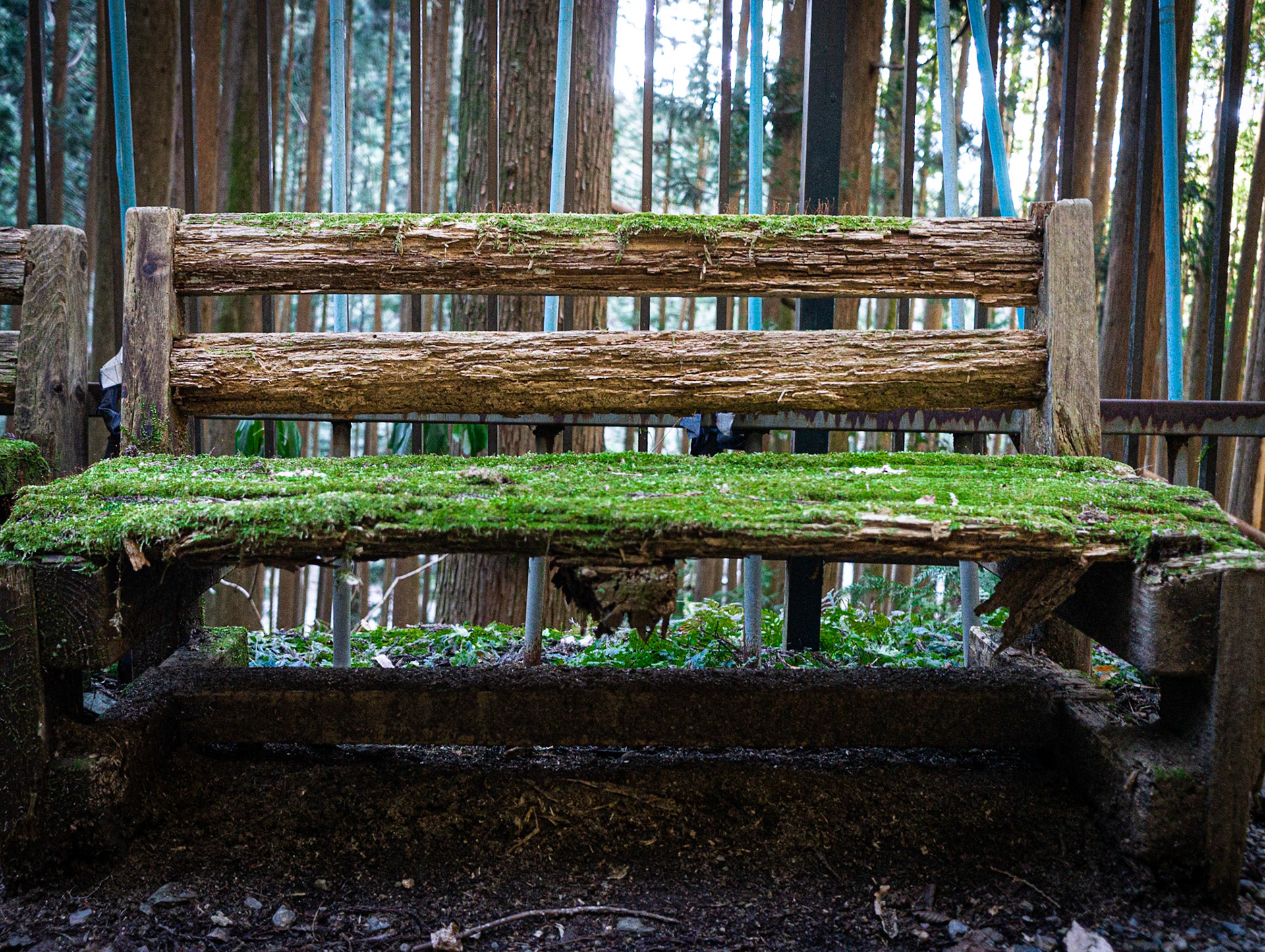 Kumano Kodo, Japan