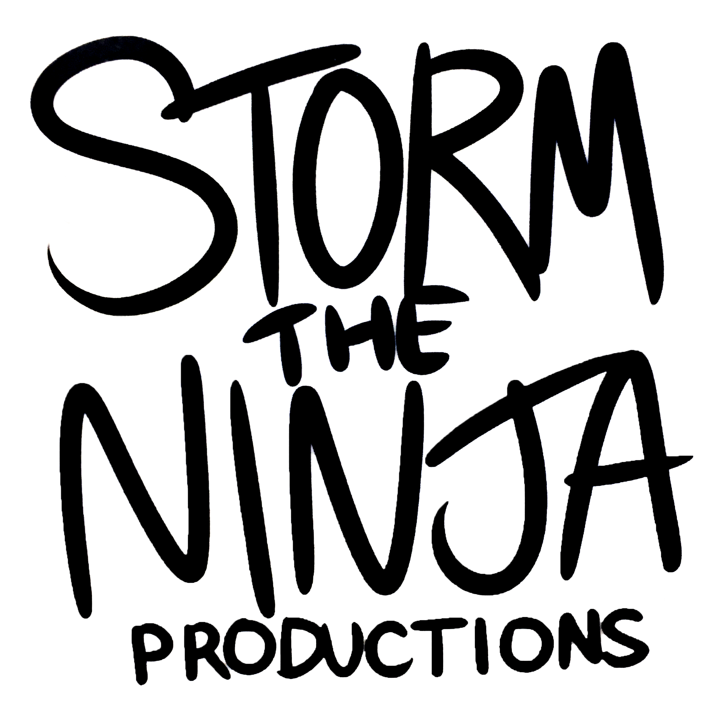 StormtheNinja Productions logo