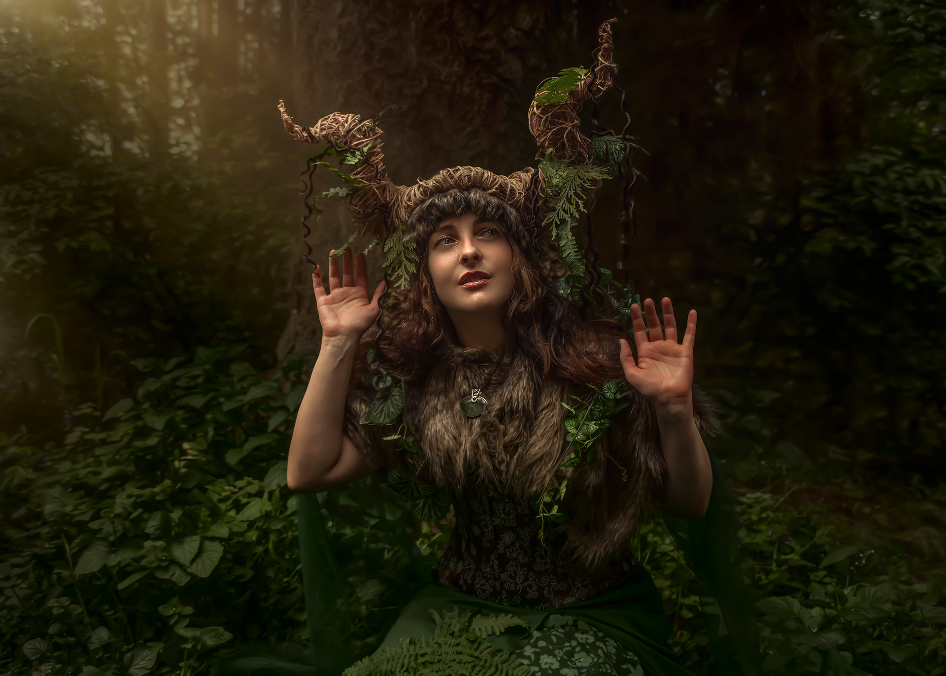 Listen to the Forest