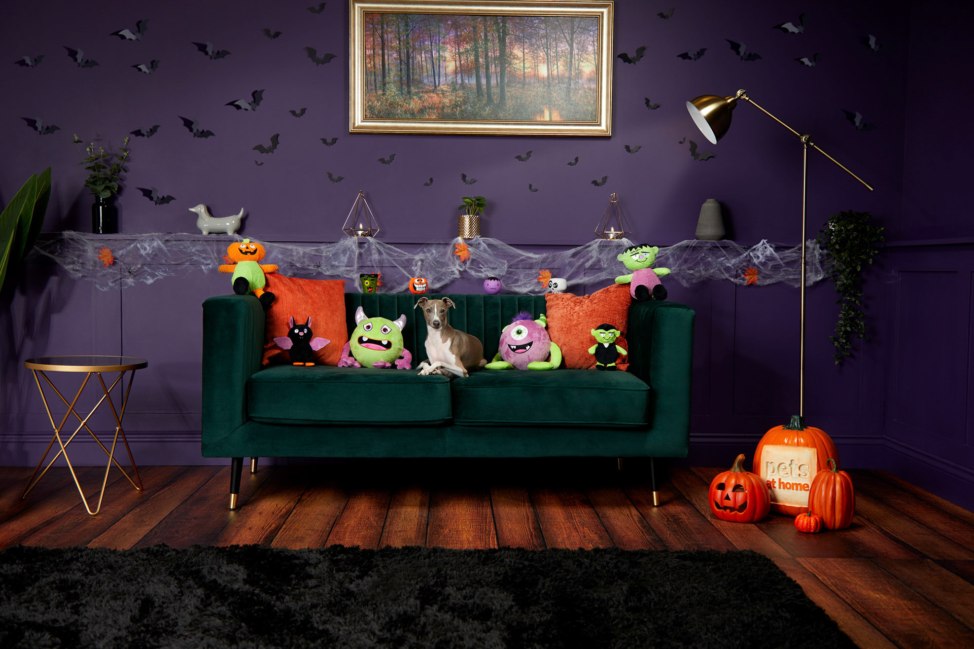 Pets at Home for Halloween