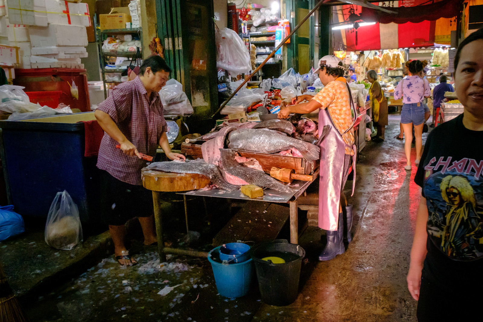 Fish for sale