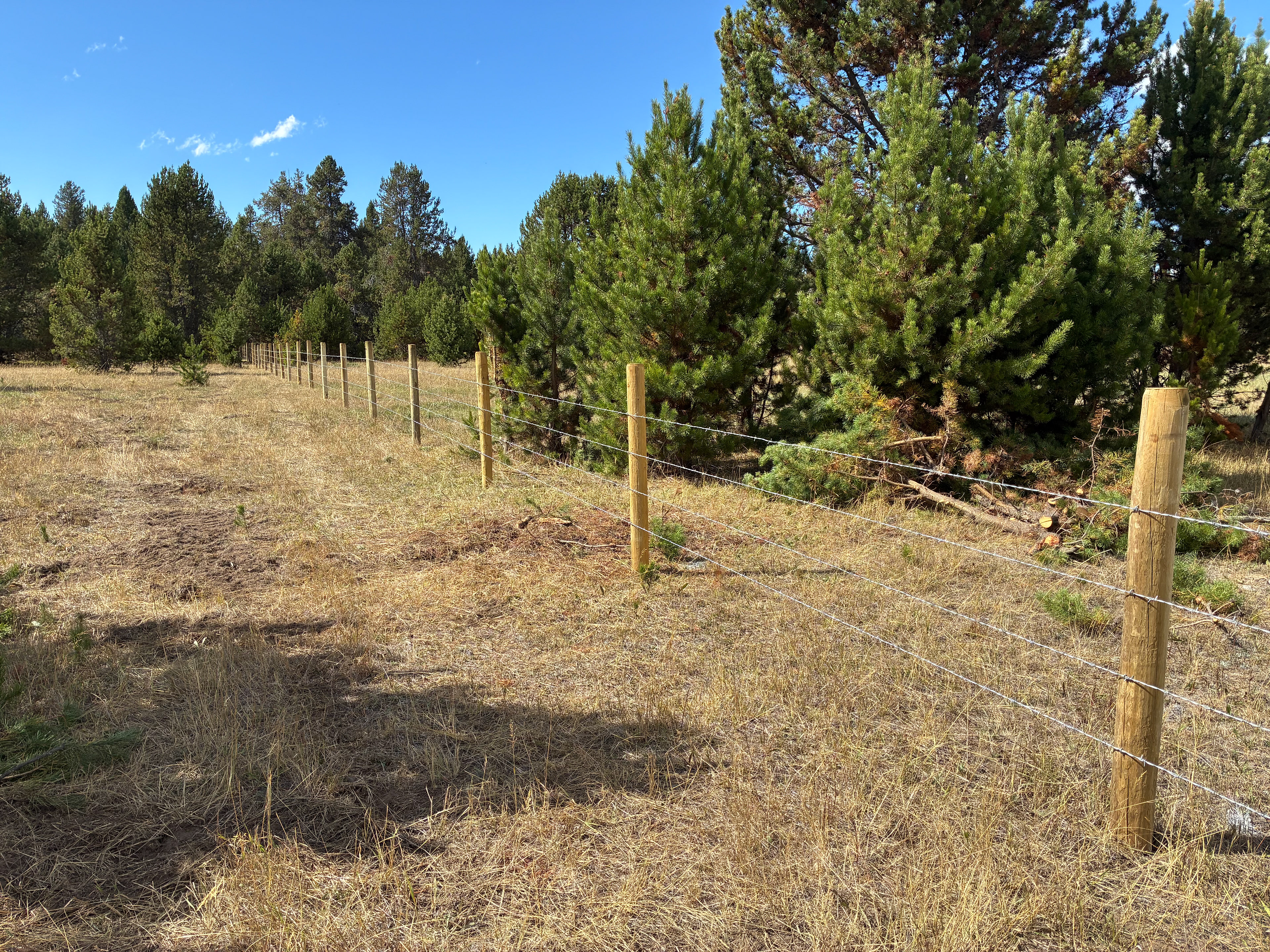 North Fenceline