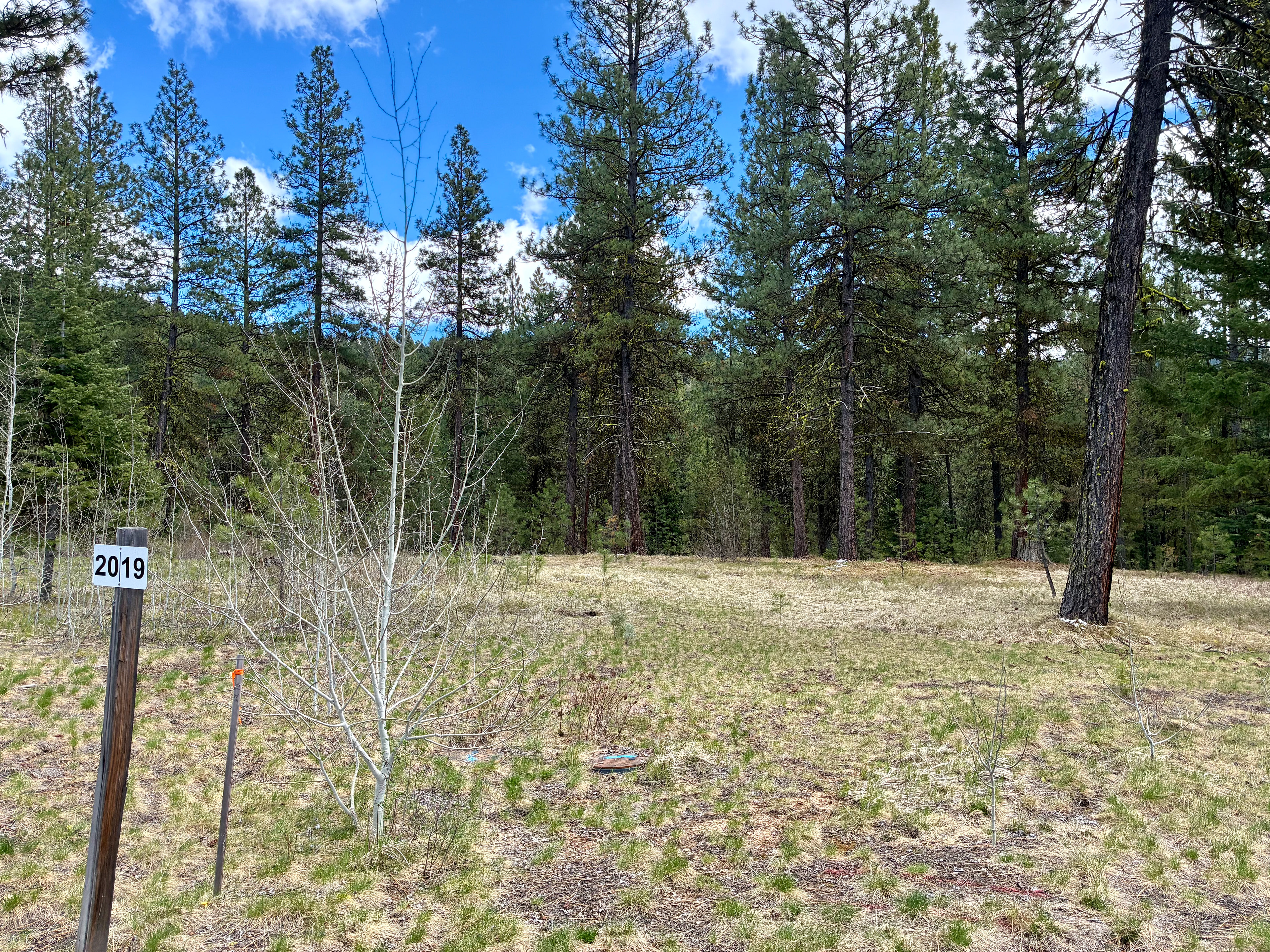 Lot 19 aka 31 Vernon Ct