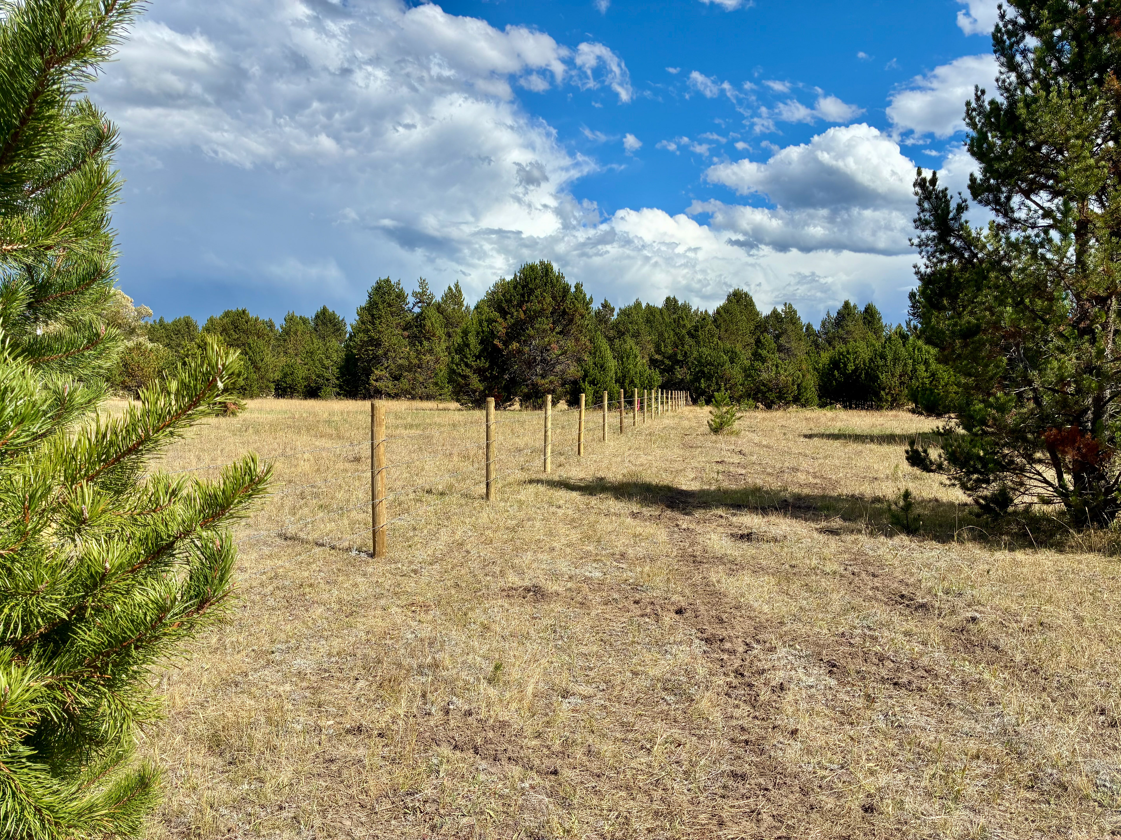Level, Surveyed, New Fence