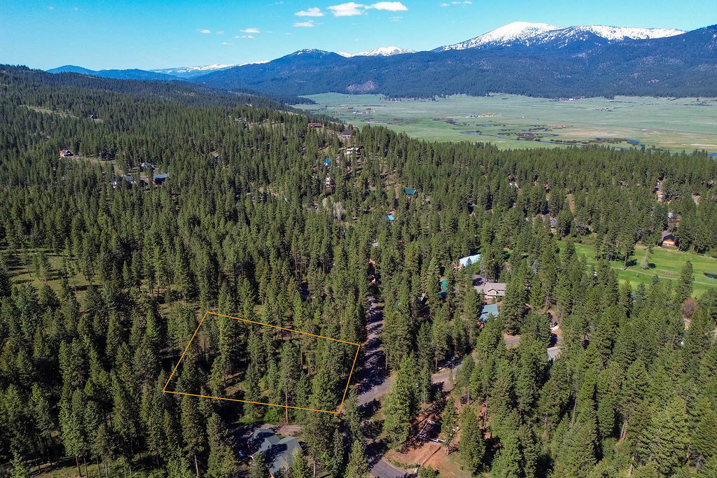 Aerial View with Approximate Lot Lines