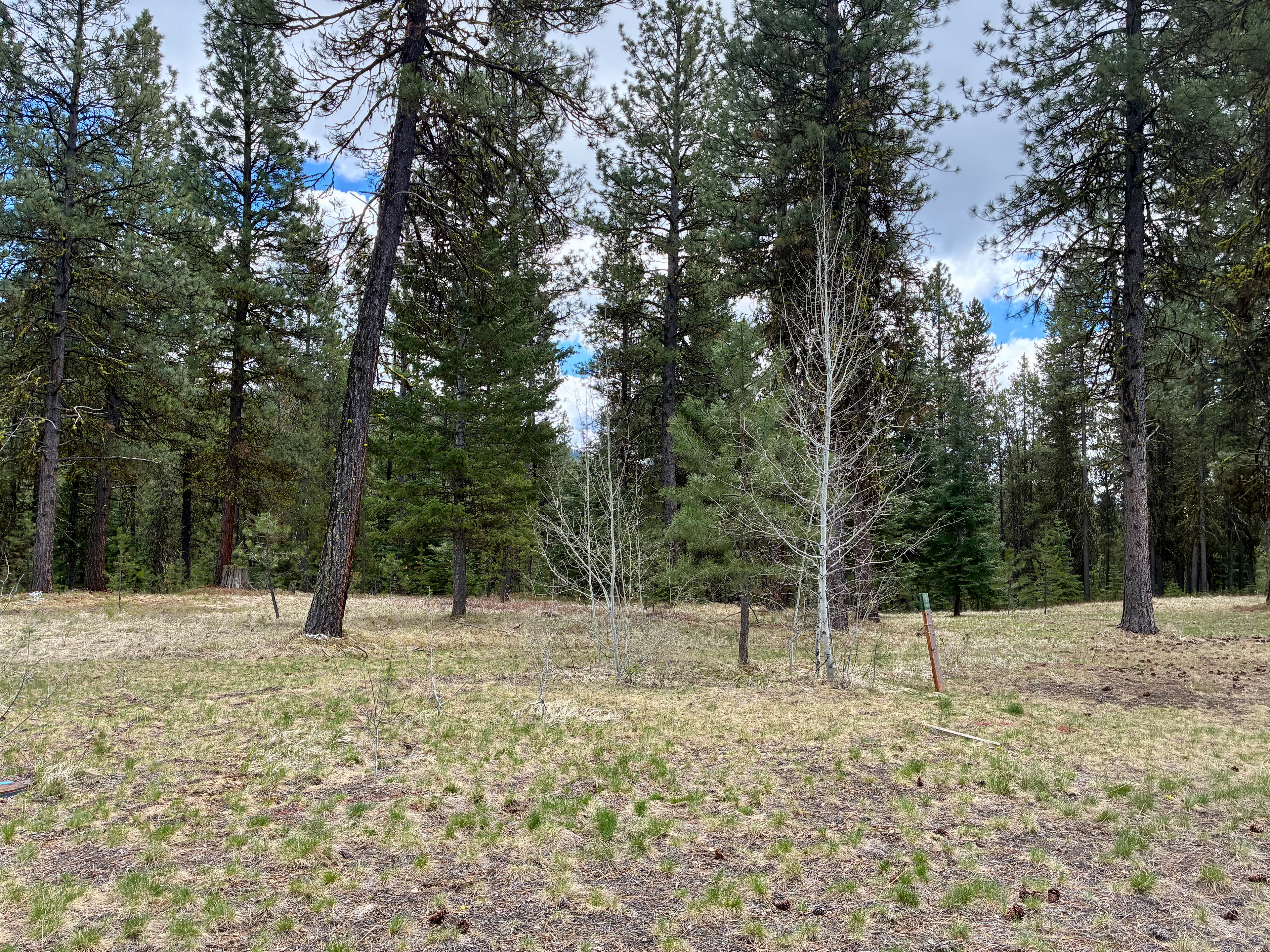 Homesite