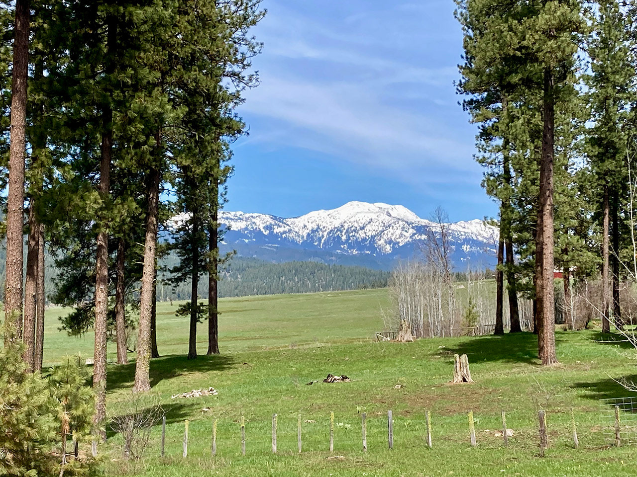 Pollock Mountain View