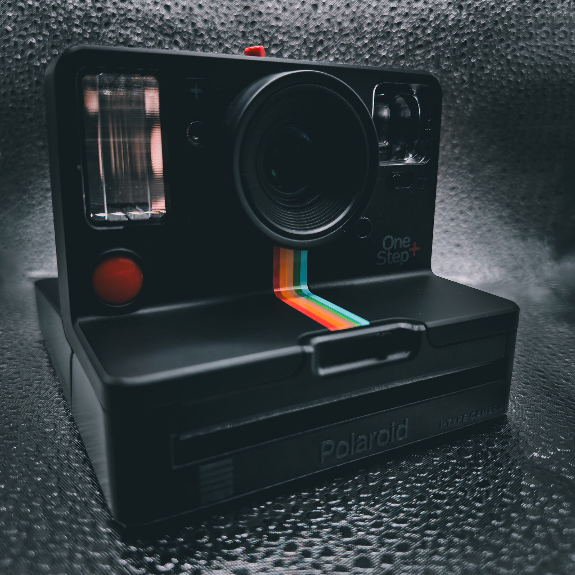 Polaroid