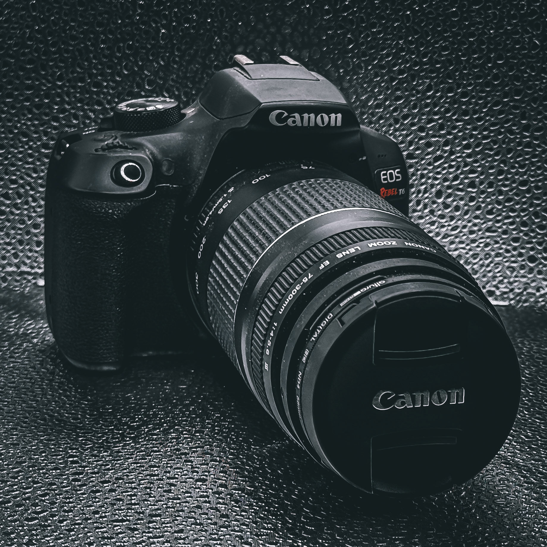 Canon Rebel T6