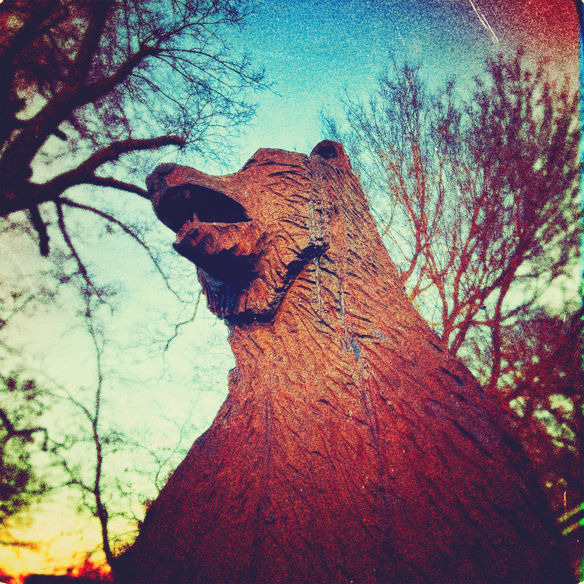 Unbearable