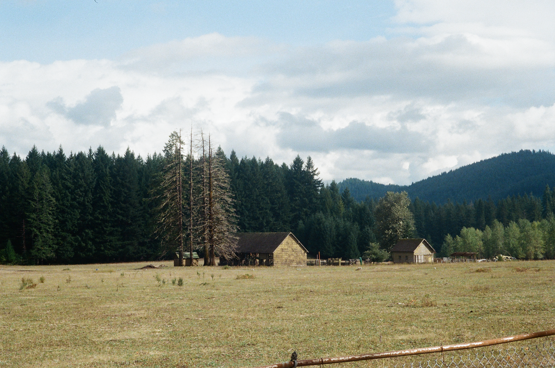 Existing field condition & view entering the site