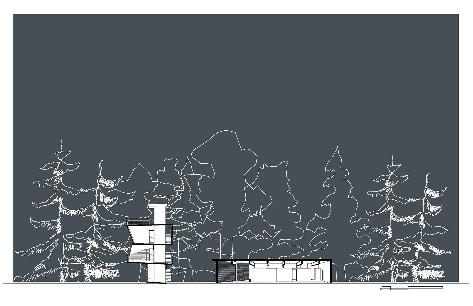 Section Perspective