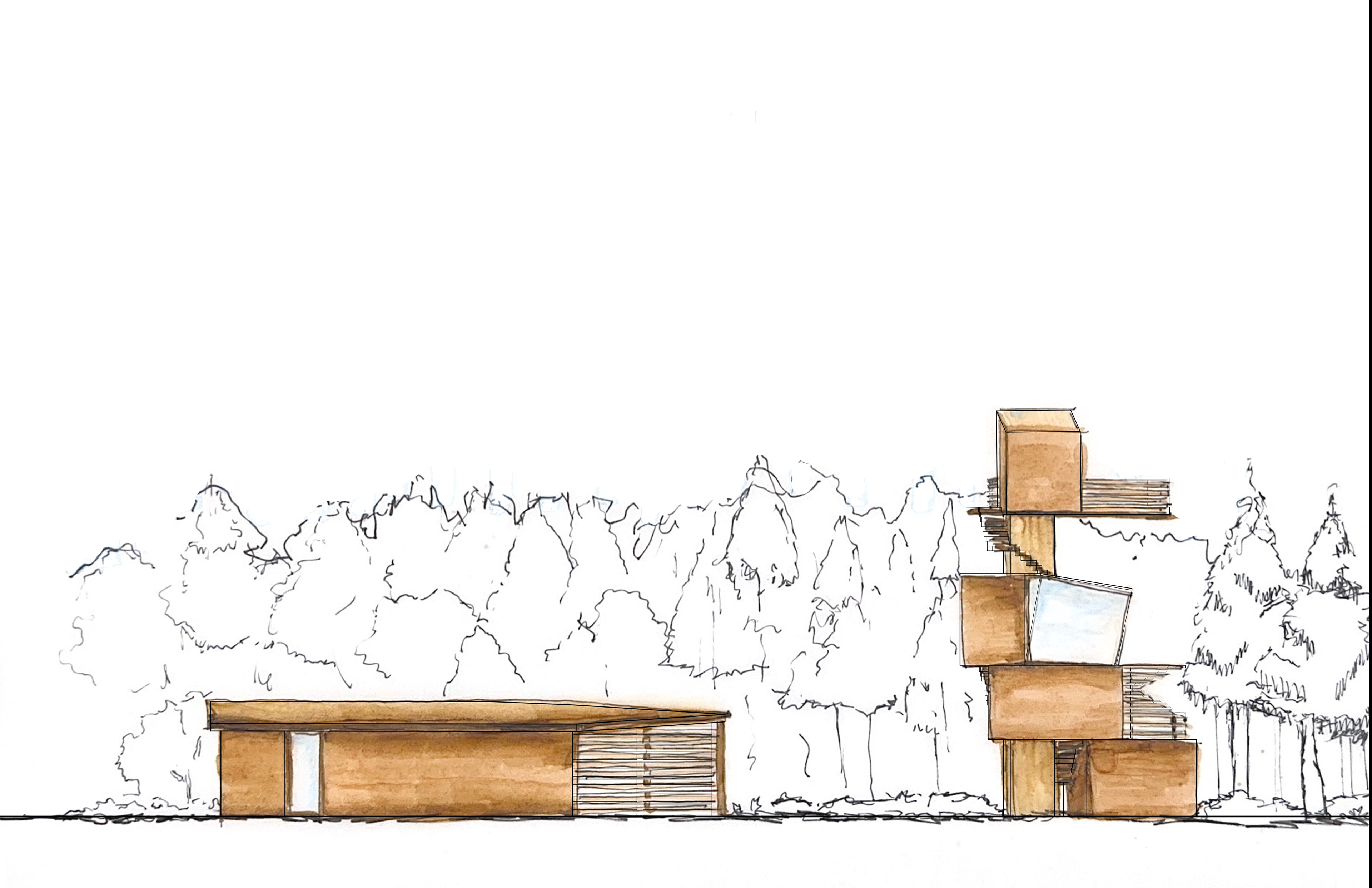Preliminary Sketch of South Elevation