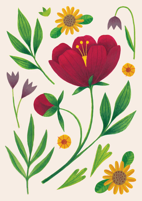 Floral illustration by Laura Middleton with peony, sunflower and crocuses.