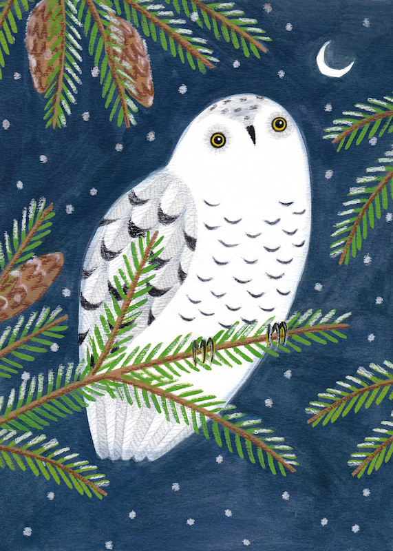 Illustration of a snowy owl perching on a pine branch with snow falling