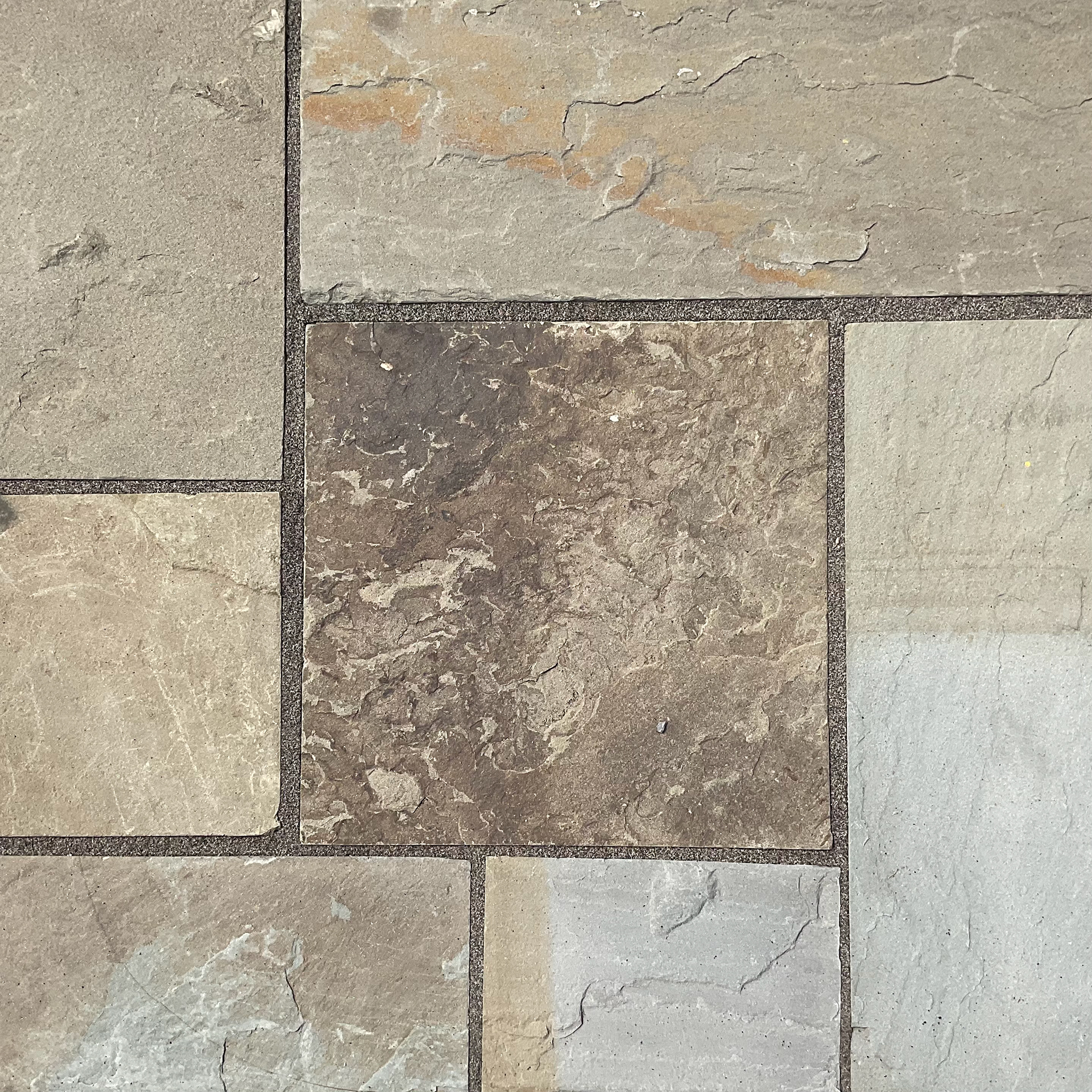 Full Color Cleft (Cut)