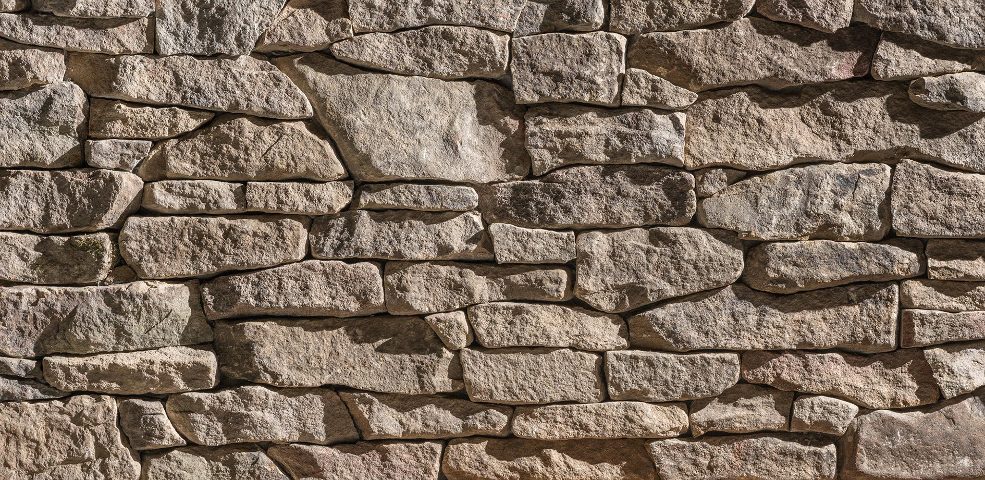 Stony Point Ledgestone Veneer