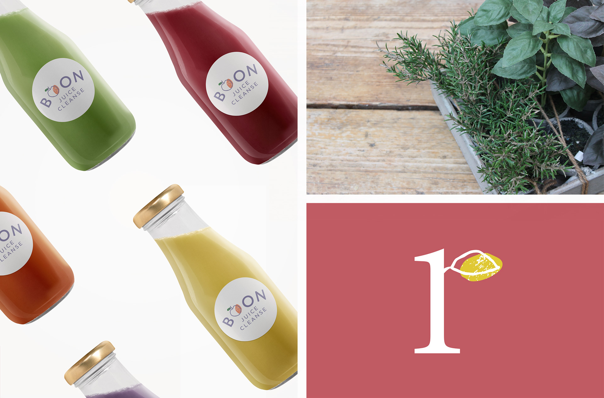 Worthing's Rachel Boon Naturopath Boon Juice Cleanse bottle sticker labels, herbs & social asset logo design