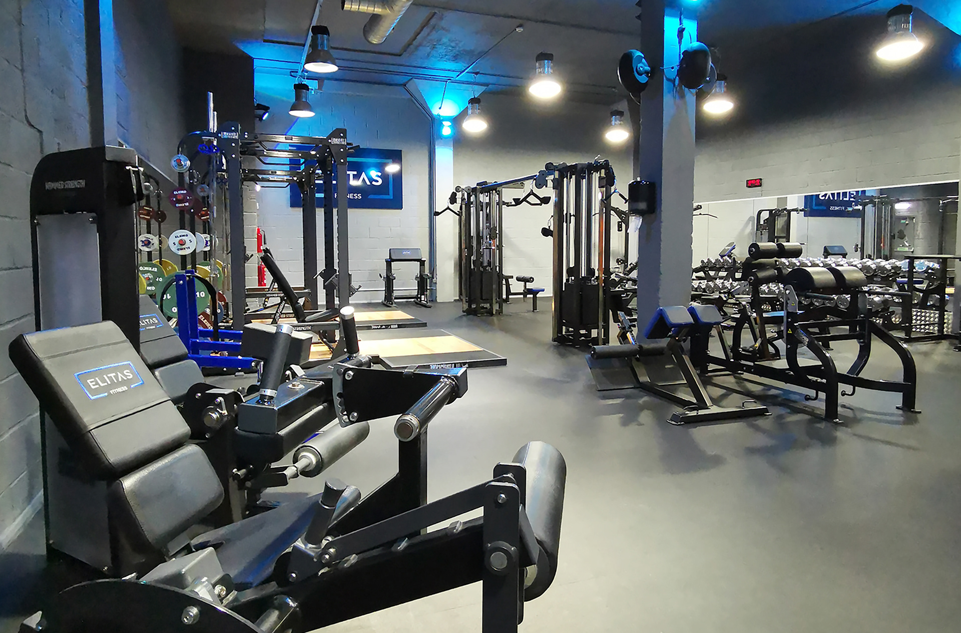 Chichester's Elitas Fitness photo of gym interior & equipment