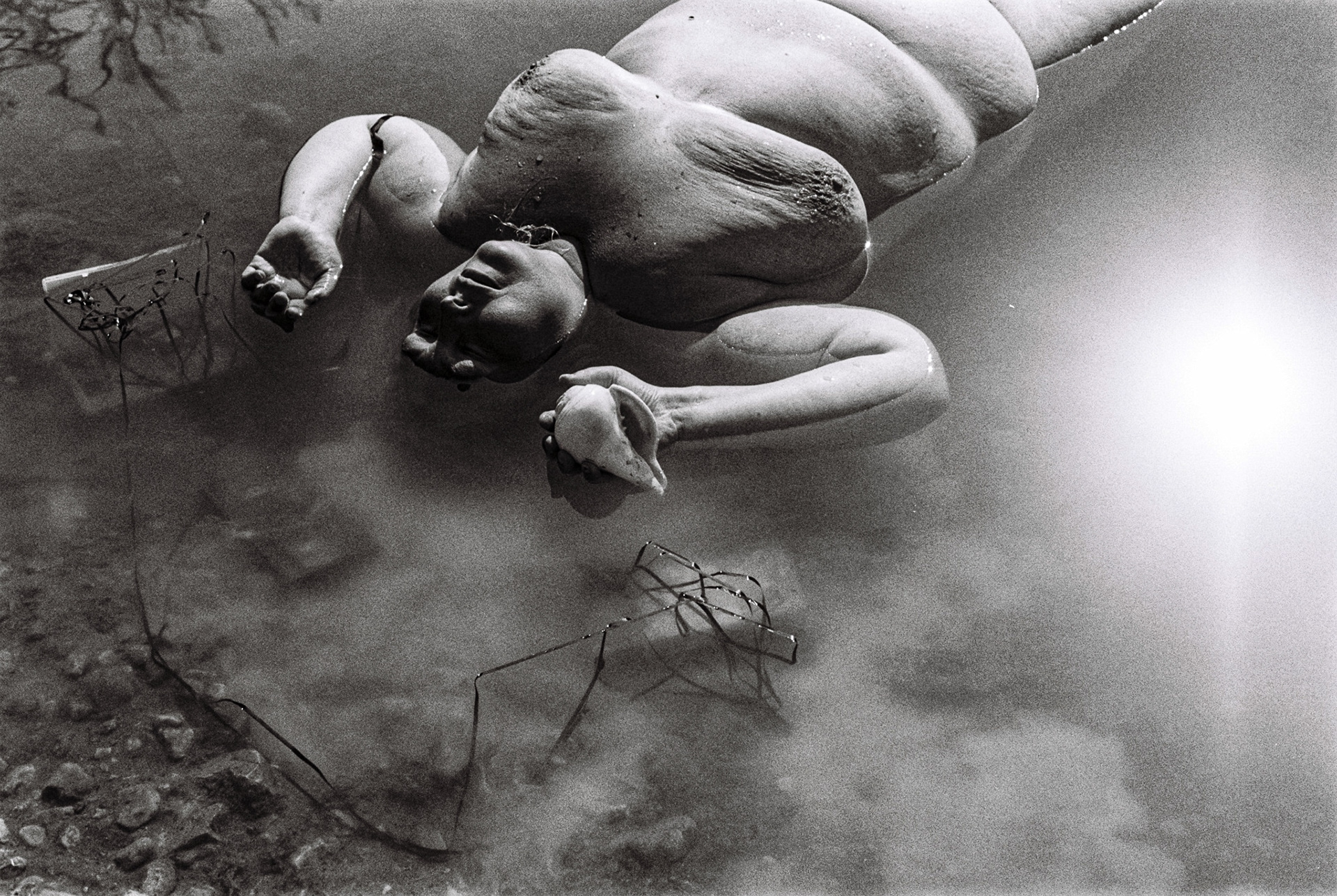Mermaid, 2024