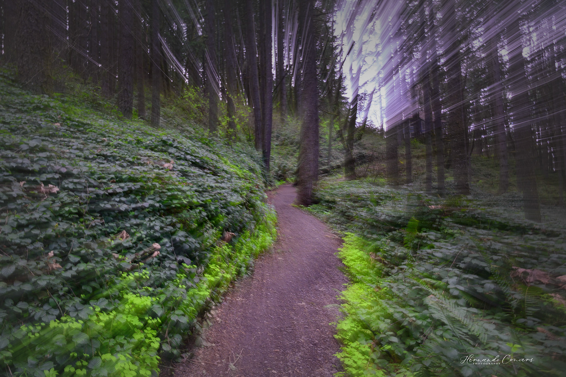 Tunnel Vision 2
