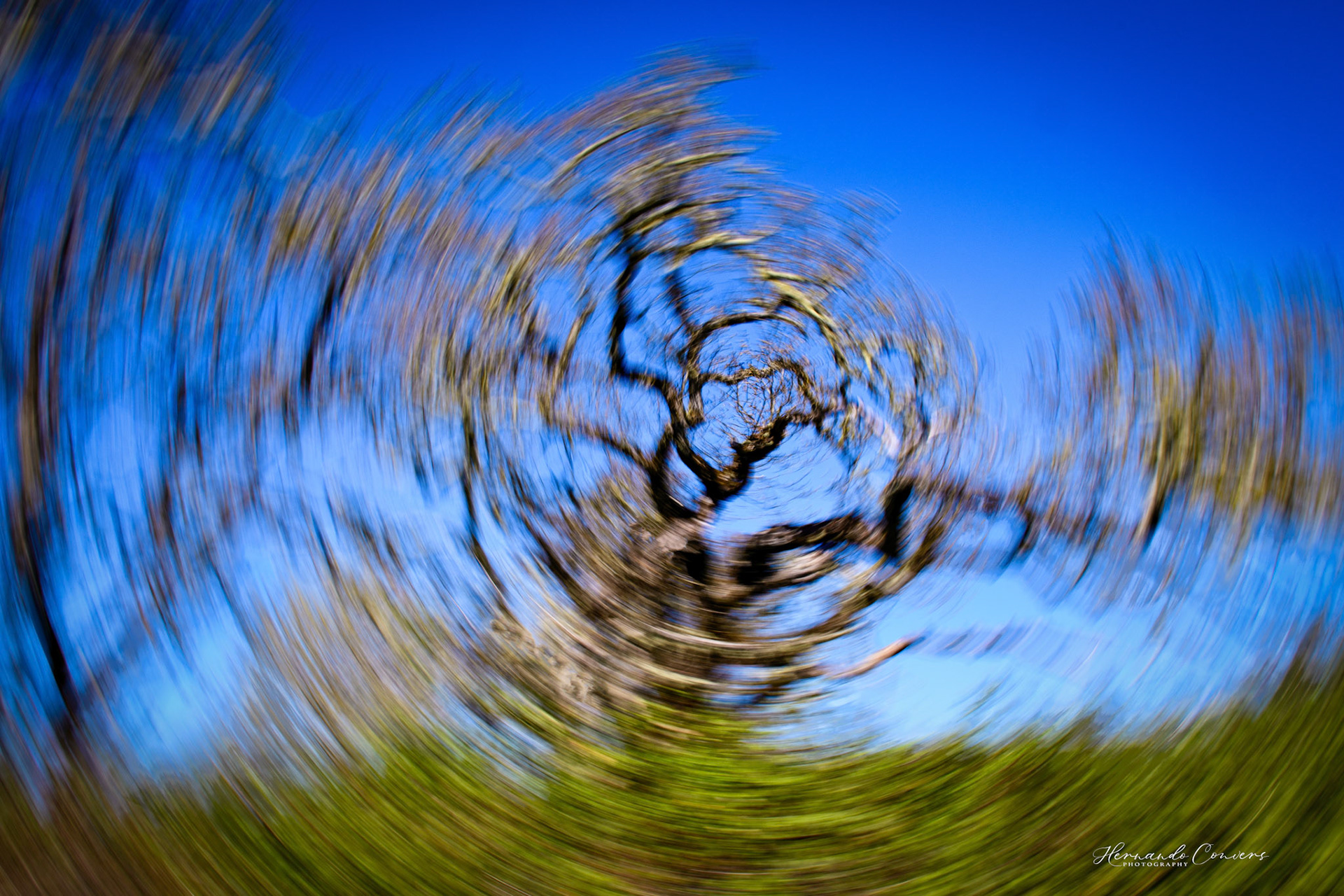 ICM 4