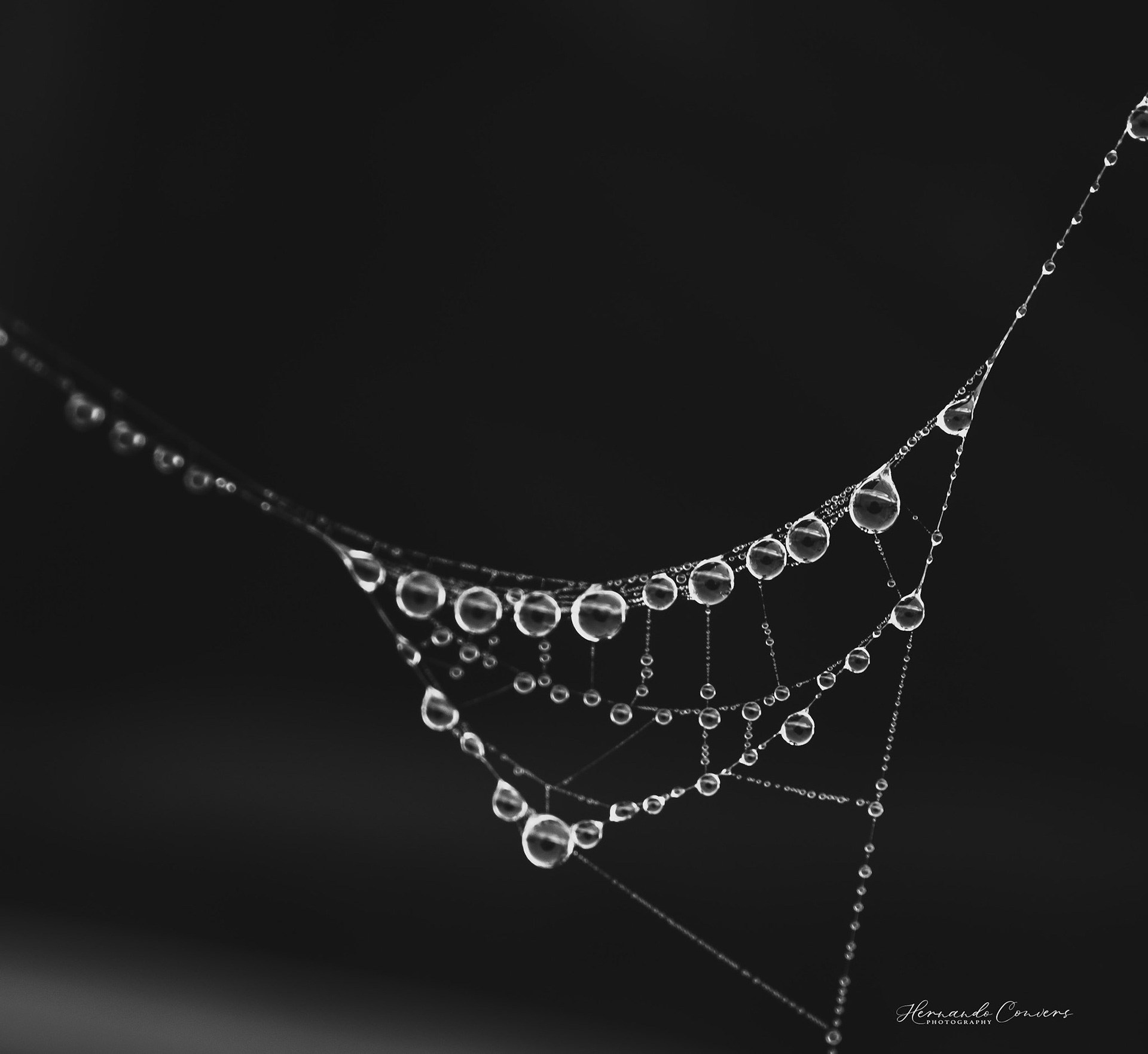 Arachnid Necklace