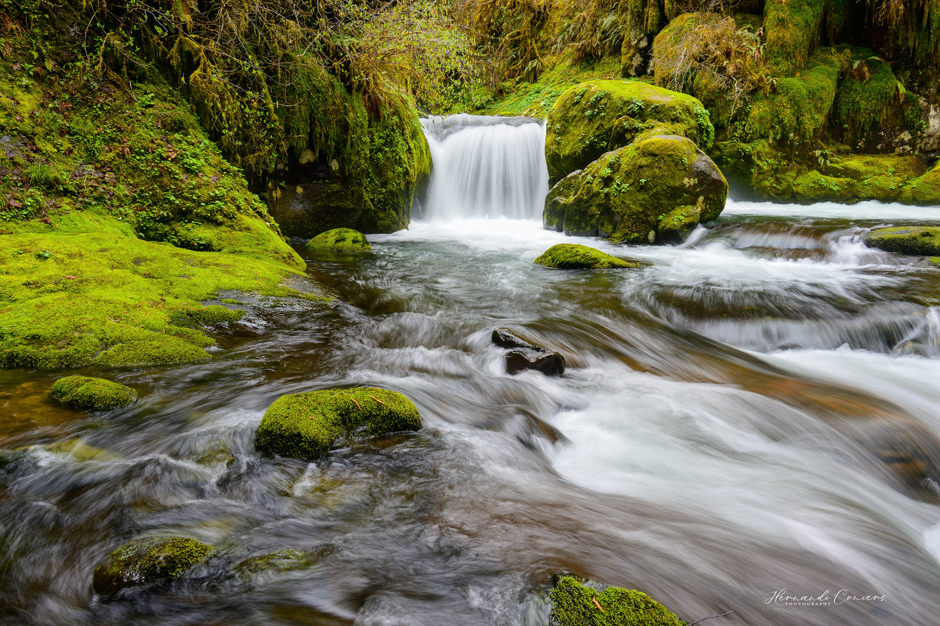 Sweet Creek - Oregon