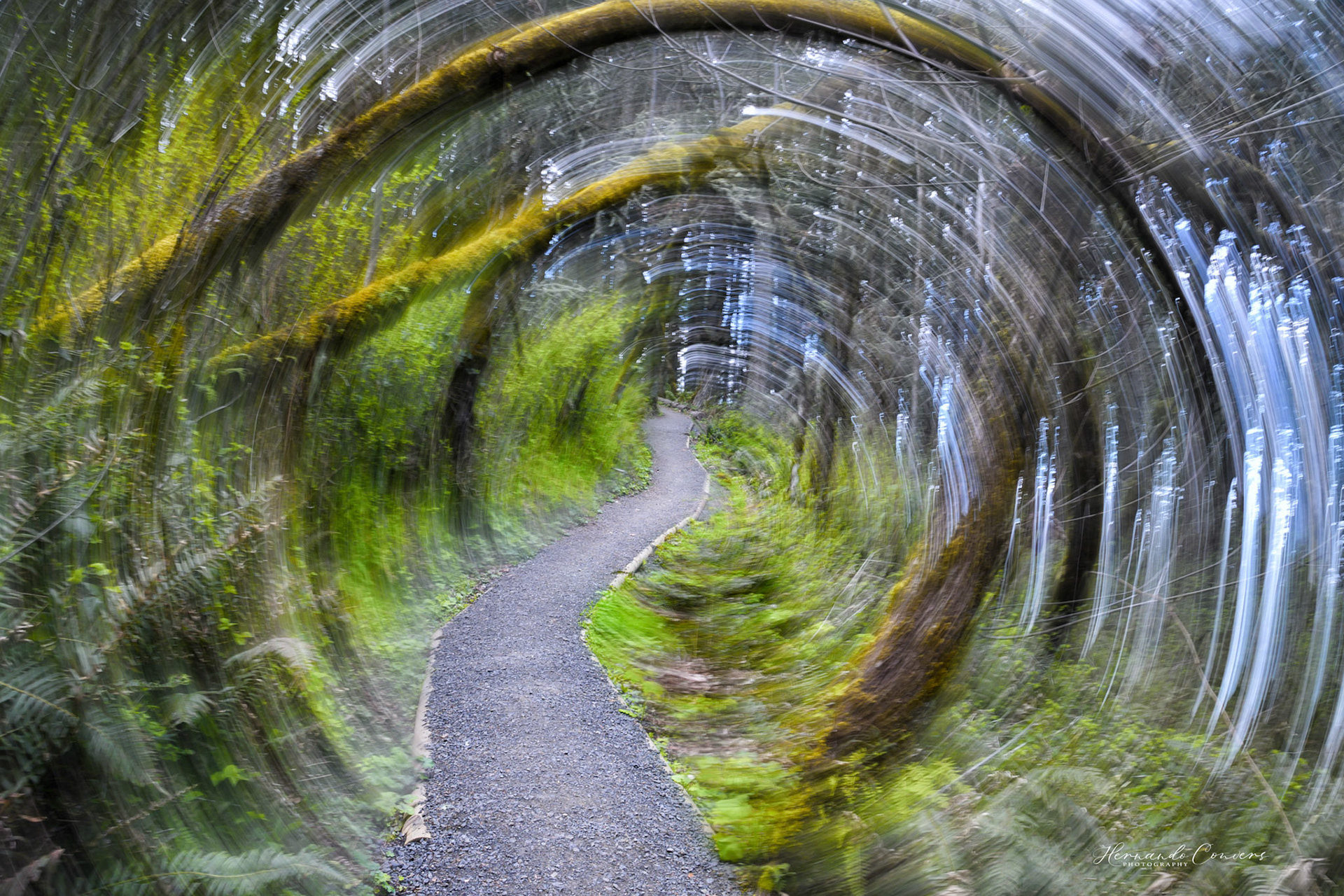 Tunnel Vision