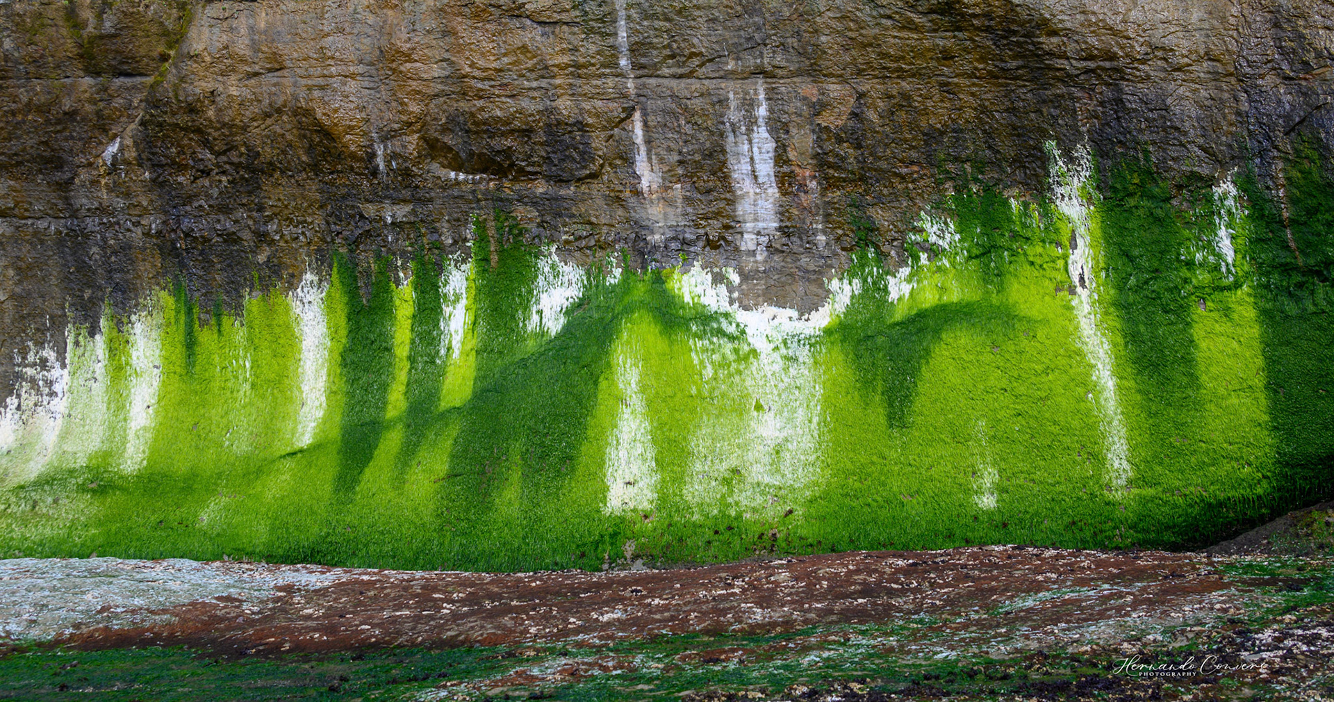 Nature Art