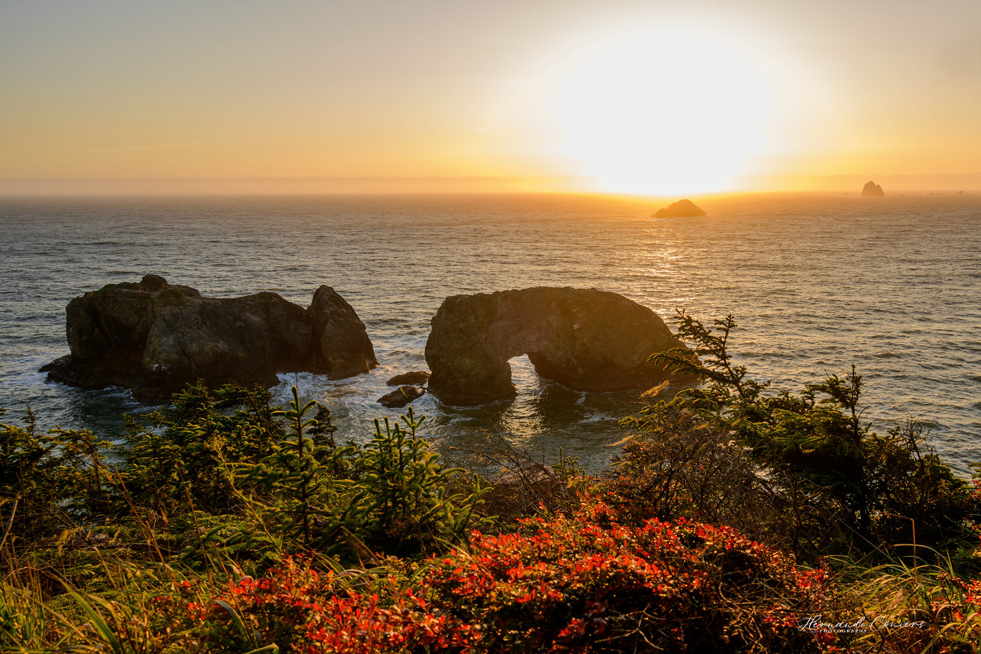 Arch Rock - Oregon